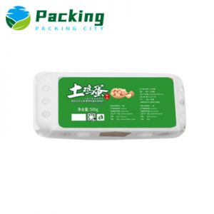 10 Cell Printed Egg Carton