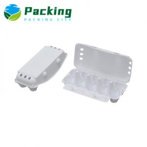 10 Cells Printed Egg Carton Factory