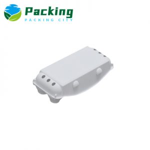 10 Cells Pulp Egg Carton