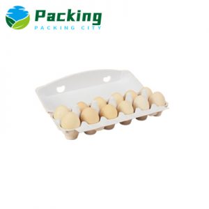 Egg Carton Vintage 3x4 Style Egg Crate Box in White Color 285