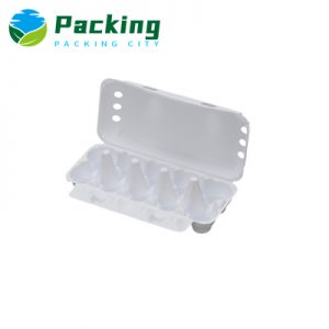 White 10 Cells Egg Carton 10W1 Egg Carton Producer Factory