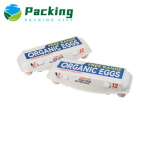 12 cells Printed Egg Carton