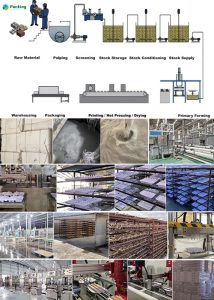 Packing city factory Tour Pulp Packing Manufacturer Sugarcane Pulp egg carton bagasse pulp egg carton fACTORY