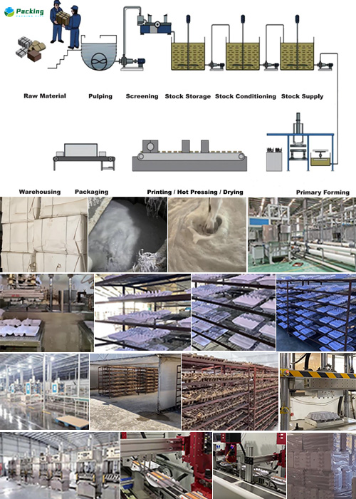 Packing city factory Tour Pulp Packing Manufacturer Sugarcane Pulp egg carton bagasse pulp egg carton fACTORY