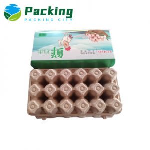 18 Cells Cardboard Egg Carton Custom Printed Egg Carton New Design Egg Pack Factory