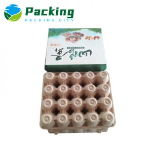 20 Cells Cardboard Egg Carton Manufacturer Custom Print Cardboard Egg PACK C2002
