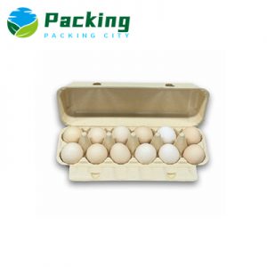 sustainable packaging Bamboo Pulp 12 Cells Egg Carto Factory America Manufacturer Europe Egg Packs Factory