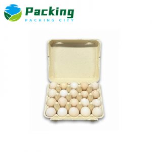 Bamboo Pulp 20 Cells Egg Carton Manufacturer China Factory Natural Material Pulp Egg Pack Producer