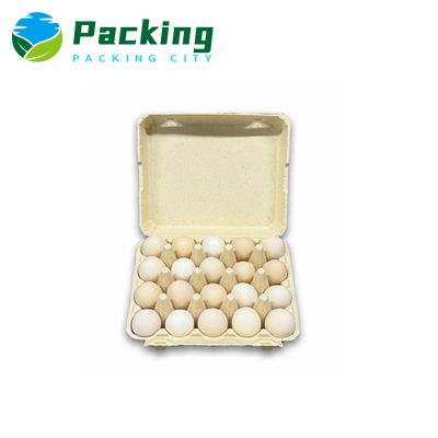 Bamboo Pulp 20 Packs Egg Carton B2002 Bamboo Pulp 20 Packs Egg Carton B2002 Bamboo Egg Carton China Manufacturer Custom Egg Packagings Factory USA Supplier