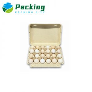 Bamboo Pulp 24 Packs Egg Carton Factory China Egg Packaging Manufacturer USA Wholesale UAE Egg PackagingB2402