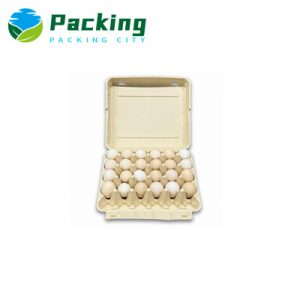 Bamboo Pulp 30 Packs Egg Carton Manufacturer Egg Packaging B3002