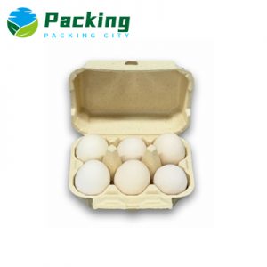 Bamboo Pulp 6 Cells Egg Carton Factory China Bamboo Egg Carton Manufacturer Egg Production Farm