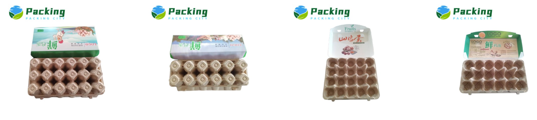 Coated Paper Cardboard Pulp Egg Carton Packing City Factory