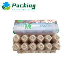 Custom Print Egg Carton Factory Import Buyer Egg production company new style egg carton