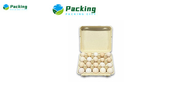 Your Premier Molded Pulp Packaging Manufacturer Bamboo Pulp Egg Pack Factory