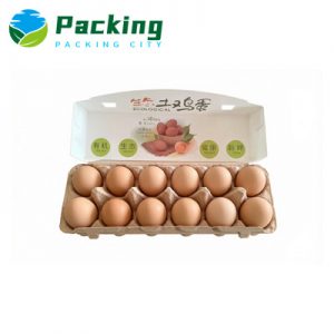 12 Cells Hybrid Egg Carton C1204 Hybrid Egg Carton Factory