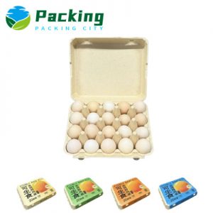 20 Packs Bamboo Egg Carton B2003 Bamboo pulp egg carton Factory