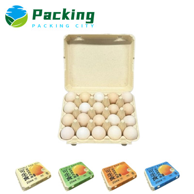 20 Packs Bamboo Egg Carton B2003 Bamboo Pulp Egg Carton China Factory 20 Packs Bamboo Egg Carton B2003 Bamboo Pulp Egg Carton China Factory