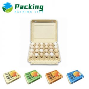 30 Packs Bamboo Egg Carton B3003 China Bamboo Pulp Egg Carton Factory Bamboo Pulp Egg Pack Producer