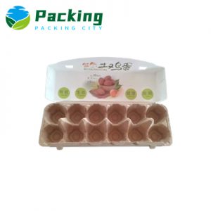 12 Eggs Hybrid Egg Pack C1205 Hybrid PaperBoard Egg Carton Factory
