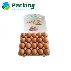 20 Cells Hybrid Egg Cartons C2004 Hybrid Egg Packaging Factory China Best Packaging Manufacturer