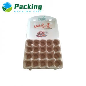 20 Eggs Hybrid Egg Packs C2005
