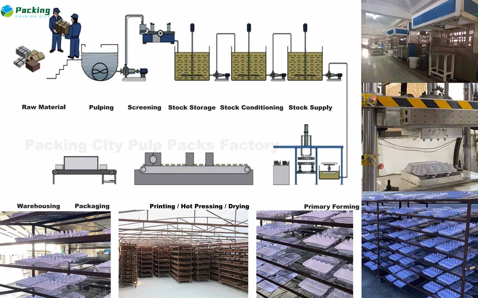 packing city pulp packaging factory Hybrid pulp Egg Pack Factory